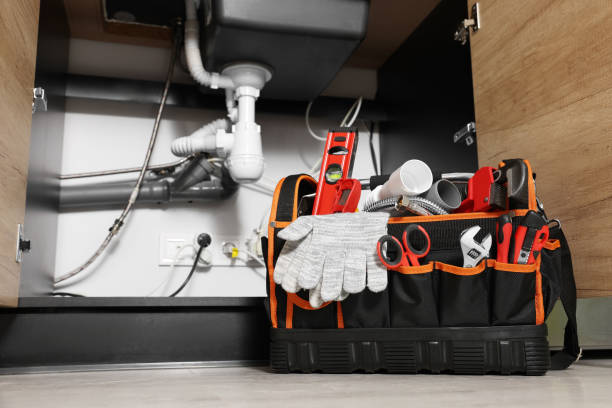 Best Same-Day Plumbing Service  in Tawas City, MI